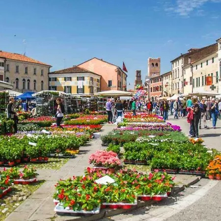 Nirvana's 2 Near Venice *